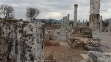 Karacasu Türkiye 'deki Antik Afrodizyak Kentine Yolculuk