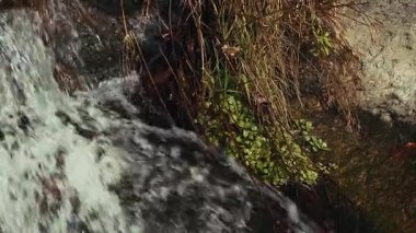 Green Nature 'daki Creek Wiew' daki ilahi şelale.