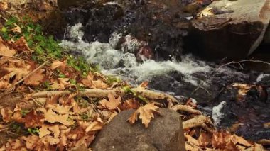 Green Nature 'daki Creek Wiew' daki ilahi şelale.