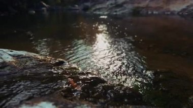 Green Nature 'daki Creek Wiew' daki ilahi şelale.