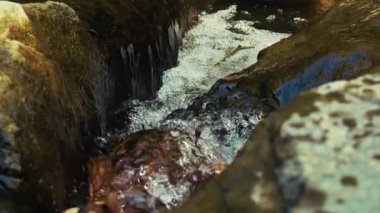 Green Nature 'daki Creek Wiew' daki ilahi şelale.