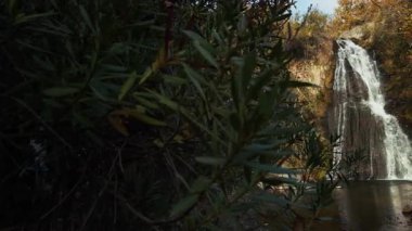 Green Nature 'daki Creek Wiew' daki ilahi şelale.