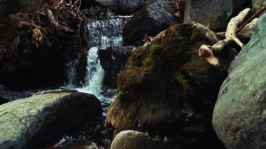 Green Nature 'daki Creek Wiew' daki ilahi şelale.