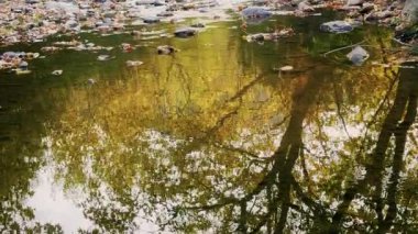 Green Nature 'daki Creek Wiew' daki ilahi şelale.