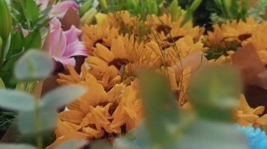 Renkli ve Güzel Romantik Çiçekler 