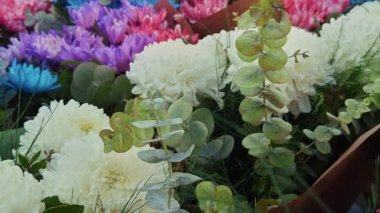 Renkli ve Güzel Romantik Çiçekler 