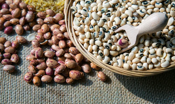 Baljväxter Dlicious och hälsosamma Mix mat — Stockfoto