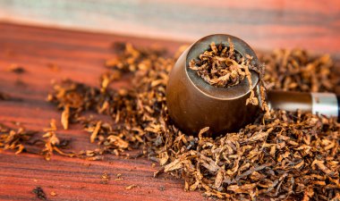 Ahşap duman boru tütün Sigara