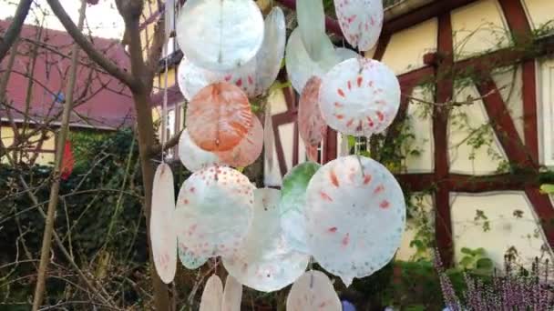 Seashell balancer sur l'arbre et les vieilles maisons — Video