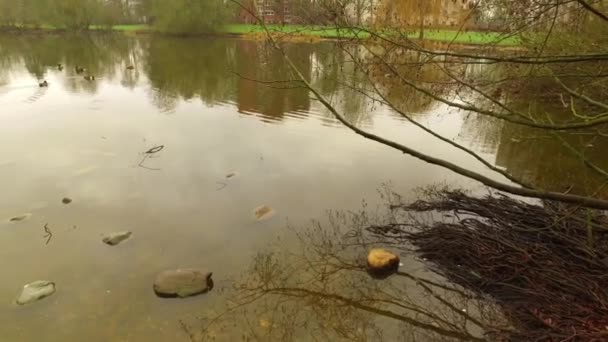 Jezero v přírodě a kamenů na vody — Stock video
