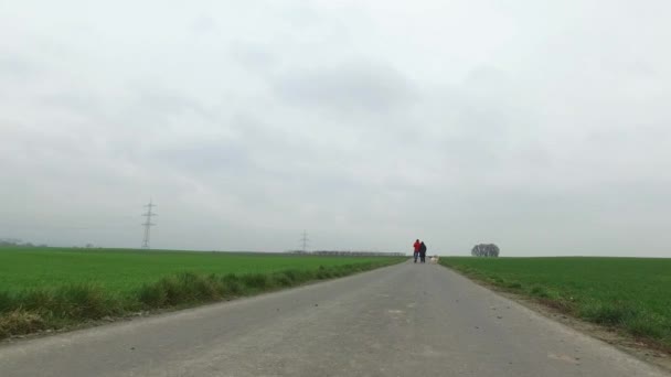 Promenade sur le terrain dans la nature — Video