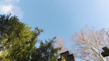 İsa ve annesi Mary heykel mezarlığı ve doğa
