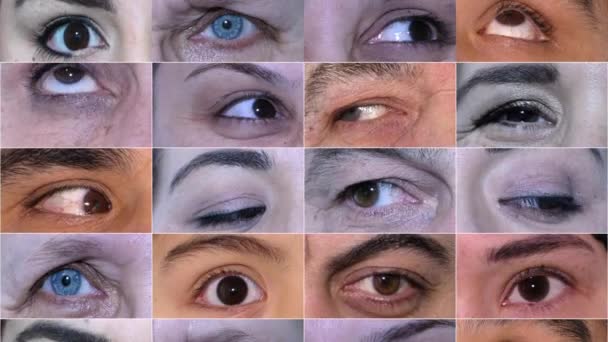 Mover diferentes tipos de ojos — Vídeos de Stock