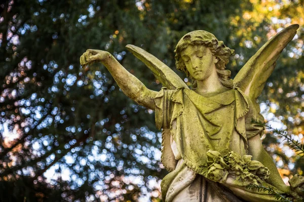 Estatua de ángel en el cementerio — Foto de Stock