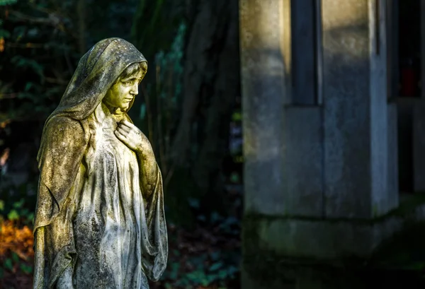 Moeder Maria Christendom Religie in de natuur — Stockfoto