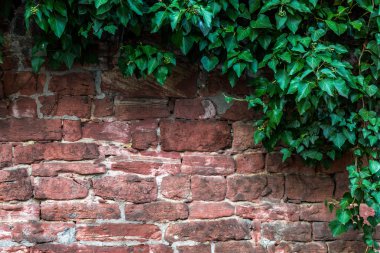 tuğla duvar arkaplan dokusu