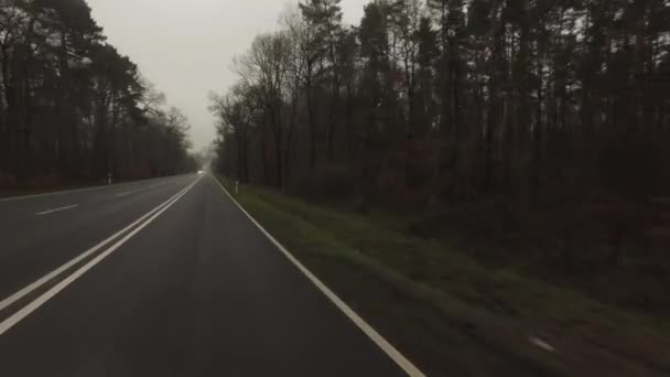 El camino en el bosque en el día nublado brumoso — Vídeo de stock