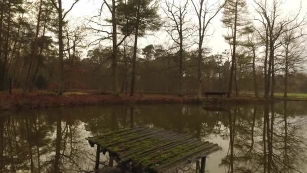 El lago y el árbol Reflexión sobre el agua — Vídeos de Stock