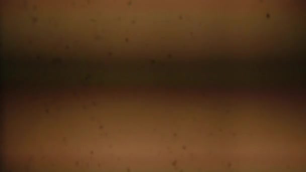 Винтажные старые пленочные камеры Пыль и царапины на экране — стоковое видео