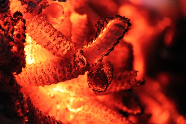 Gloeiende houtskool sintels brand brandhout — Stockfoto