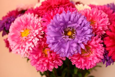 Narin çiçekler Aster buket