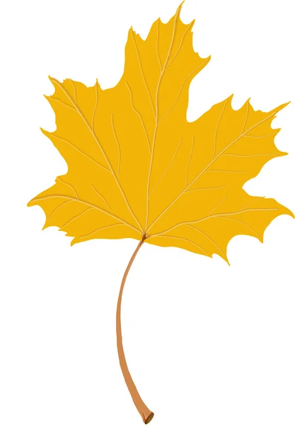 Hoja de arce de otoño — Vector de stock