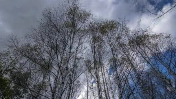 Nuvens Flutuando Céu Sobre Uma Colina Com Árvores — Vídeo de Stock