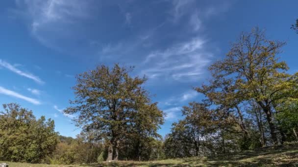 Nuvens Flutuando Céu Sobre Uma Colina Com Árvores — Vídeo de Stock