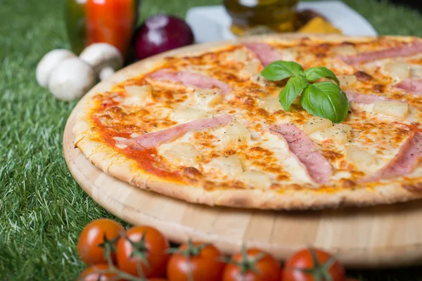 Zapečená italská pizza se sýrem, zeleninou, masem a byliny na trávě — Stock fotografie