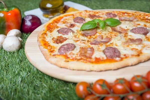 Peynir, sebze, et ve çim otlar pişmiş İtalyan pizza