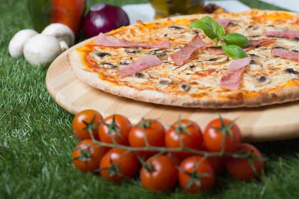 Zapečená italská pizza se sýrem, zeleninou, masem a byliny na trávě — Stock fotografie