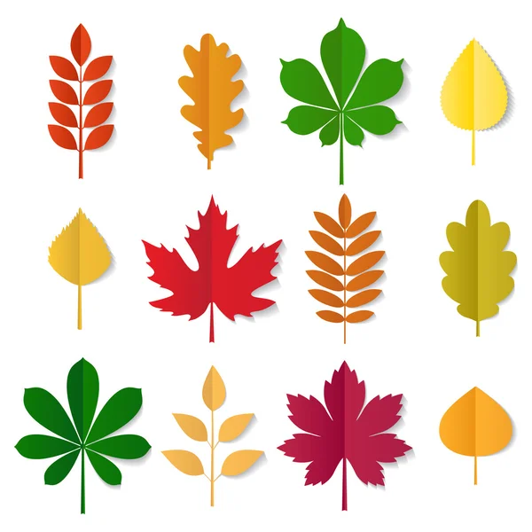 Collezione vettoriale di foglie colorate autunno — Vettoriale Stock