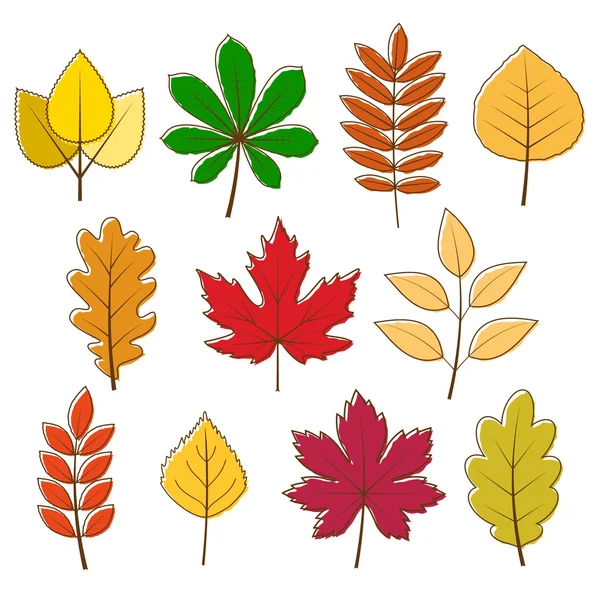 Colección vectorial de hojas de color otoño — Archivo Imágenes Vectoriales