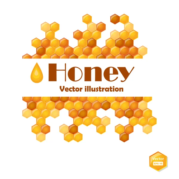 Vector illustration of honeycomb — Stock Vector