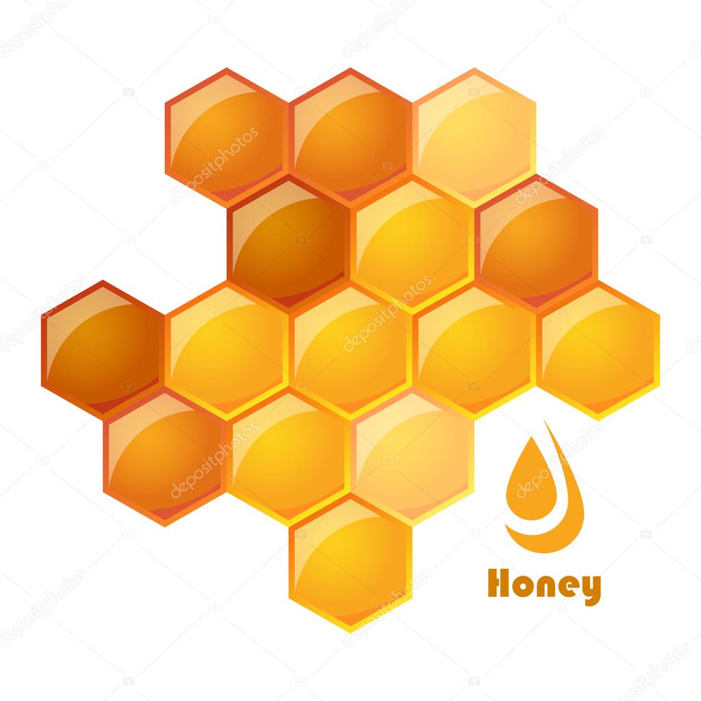 Vector illustration of honeycomb
