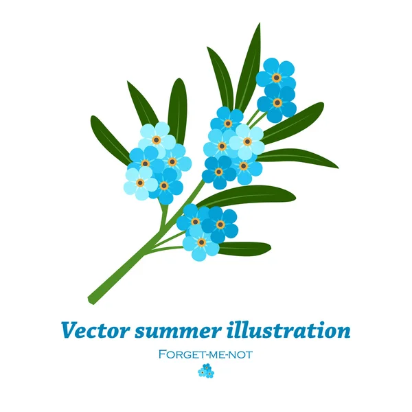 Bouquet of blue forget-me-not flowers — Stock Vector