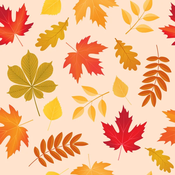 Vector de fondo sin costuras con hojas de color otoño — Archivo Imágenes Vectoriales