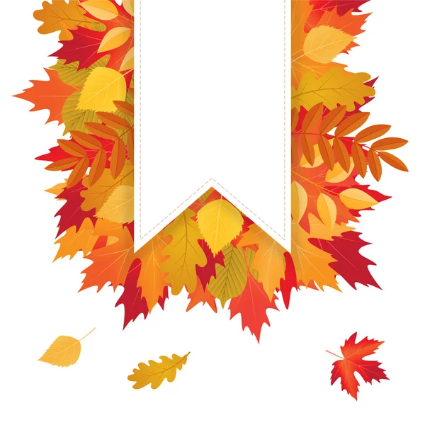 Quadro vetorial com folhas de outono coloridas — Vetor de Stock