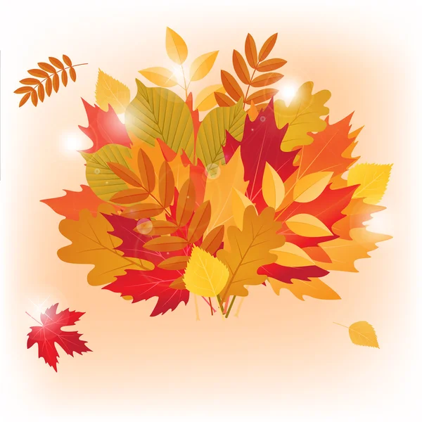 Bouquet d'automne vectoriel en érable et autres feuilles — Image vectorielle