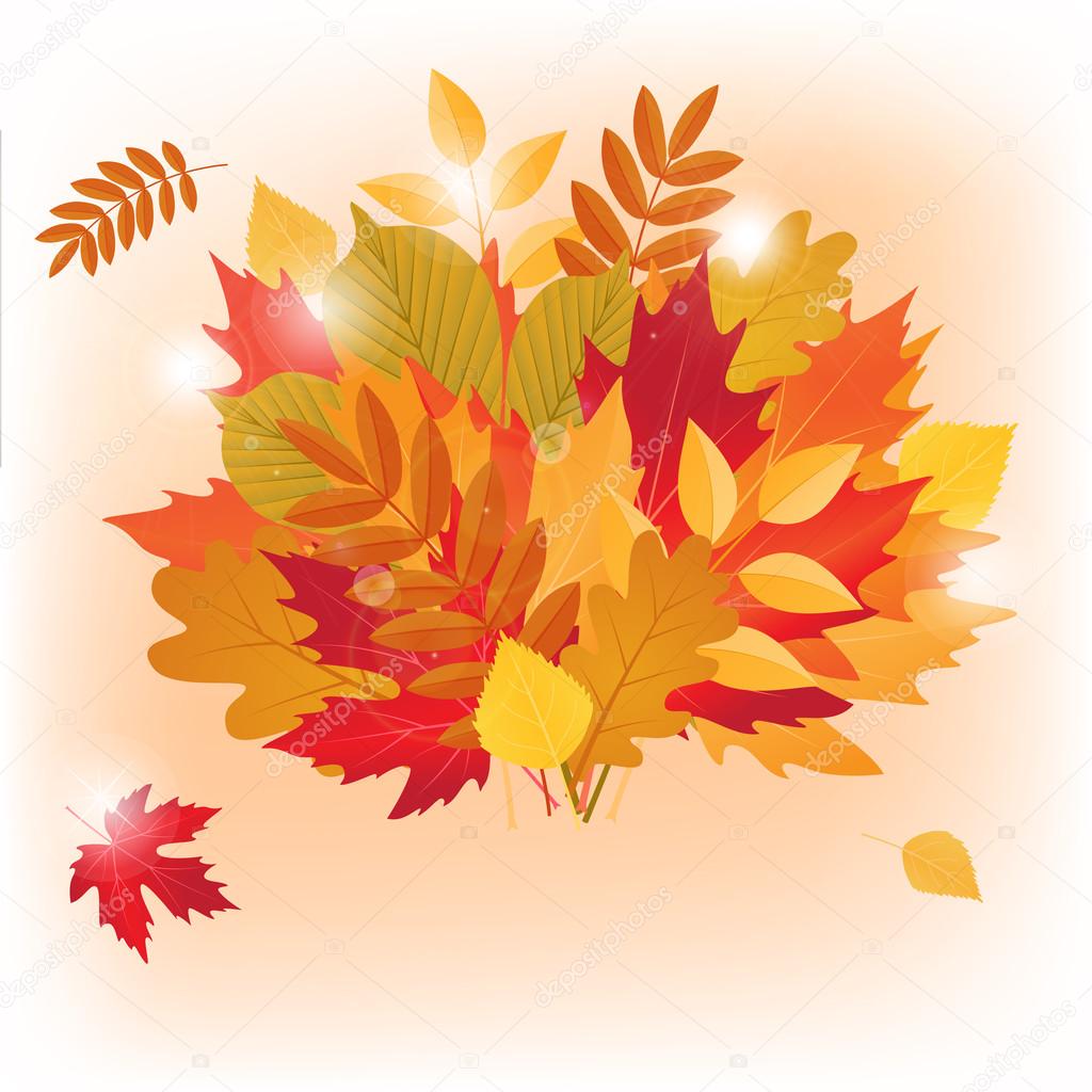 vector autumn bouquet made of maple and other leaves