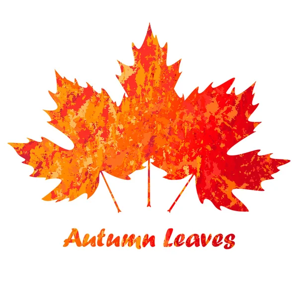 Vetor outono colorido folhas de bordo no fundo branco no estilo grunge — Vetor de Stock