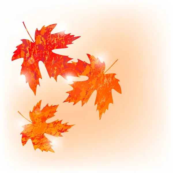 Vector autumn colored maple leaves on white background in grunge style — Stock Vector