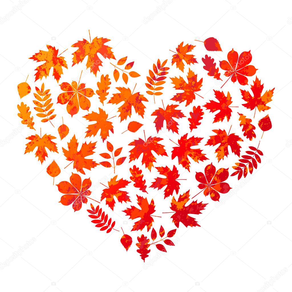 vector heart made of autumn leaves on white background in grunge style