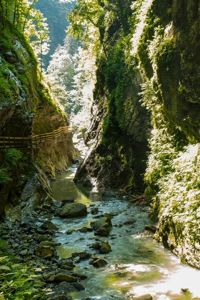 アルプスの峡谷 — ストック写真