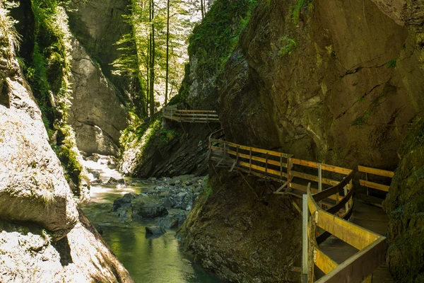 アルプスの峡谷 — ストック写真