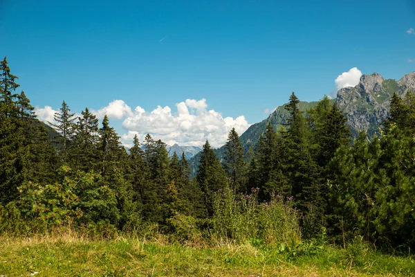 Schönes brandnertal in Österreich — Stockfoto