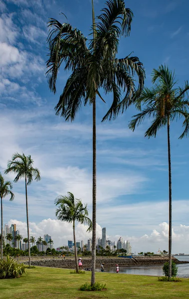 Panama Panama City South America — Stock Photo, Image