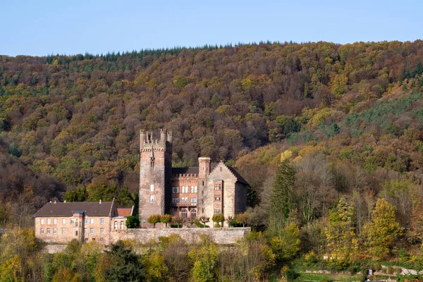 Hrad Neckarsteinach Německo — Stock fotografie