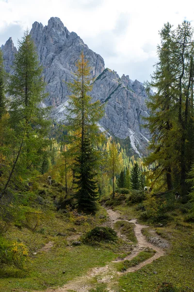 Dolomiti — Stok fotoğraf