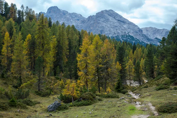 Dolomiti — Stok fotoğraf